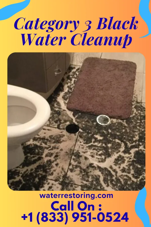 Category 3 Black Water Cleanup in Sugarcreek, OH