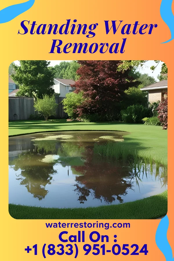 Standing Water Removal in Sugarcreek, OH